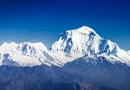 धौलागिरि आरोहण सुरु : एकै दिन चार विदेशीसहित १३ जनाले चुमे चुचुरो