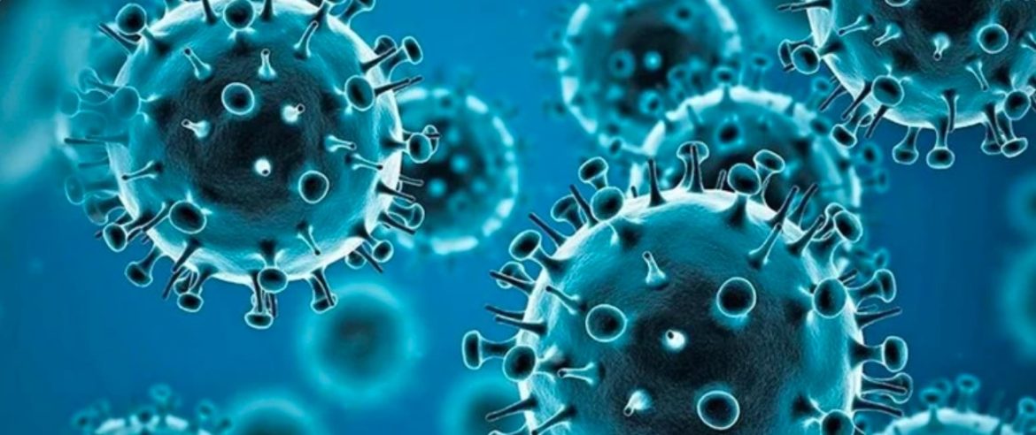 corona-virus-new-muted