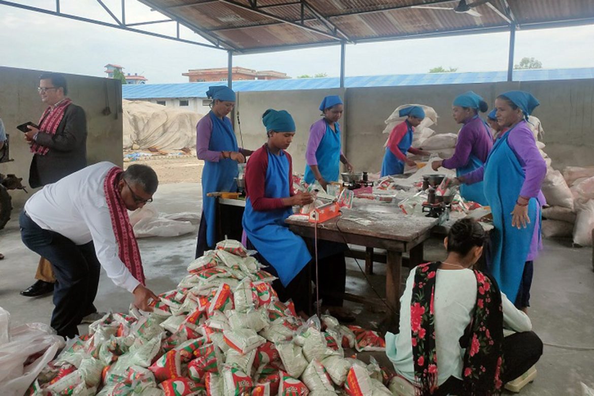 Salt-packing-Dhanghadi-1536×1024