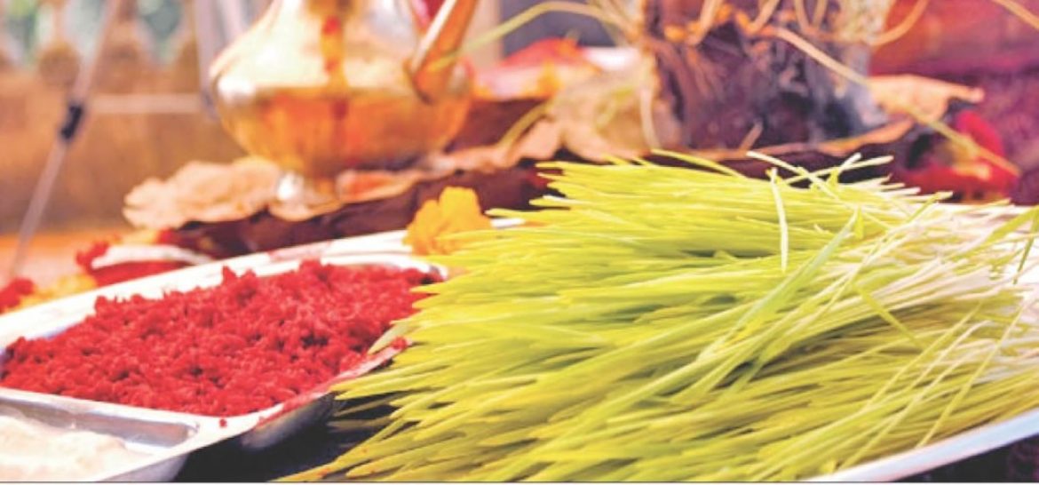 Dashain pic2024-09-13-09-01-38