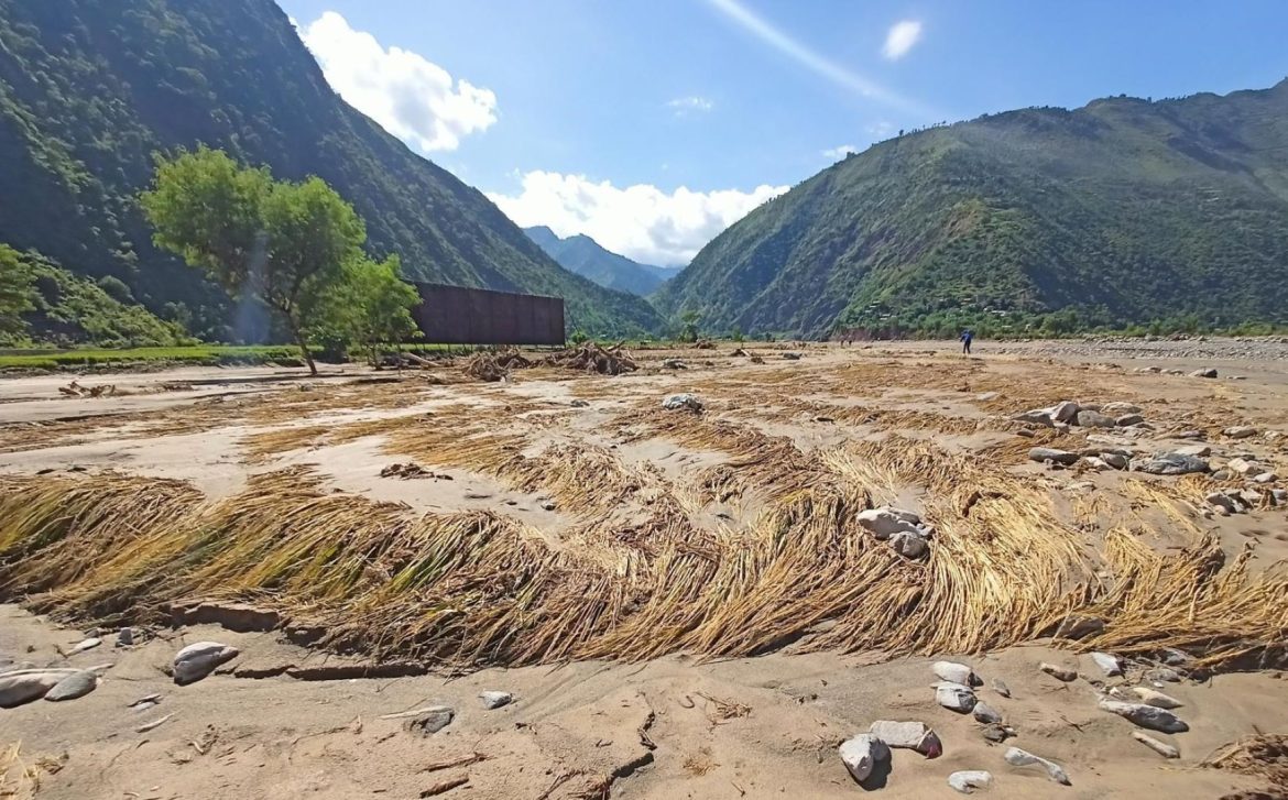 dhan-badhi2024-10-01-18-38-09