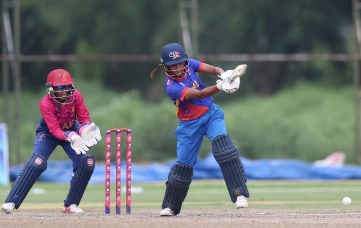 cricket2025-05-19-12-25-35