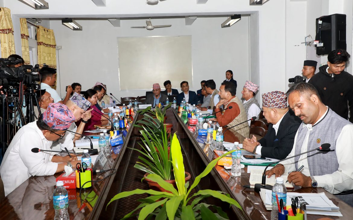 lekha samiti2025-05-21-15-45-26