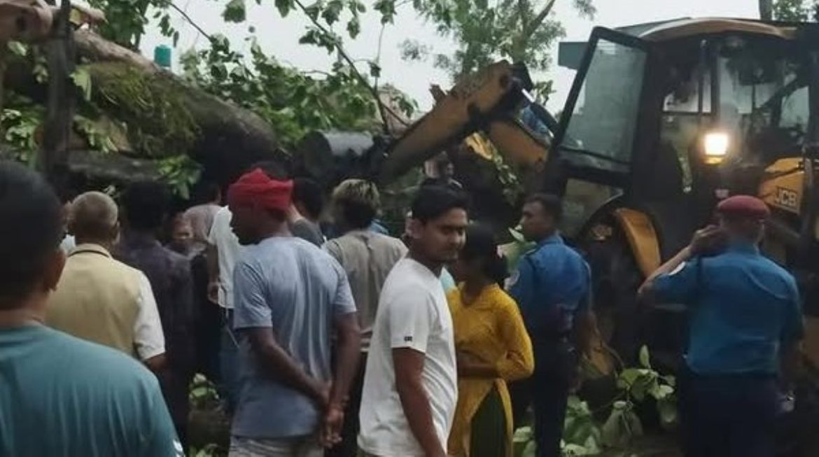 sunwal-rukh-dhalyo_S9syrw3yQa